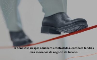 Riesgos aduaneros: contrólalos para tener mejores socios en tu negocio.
